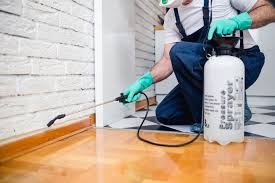 Best Termite Inspection and Treatment  in Lincolnwood, IL